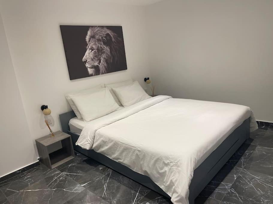Proche Climatise 2 Pieces Style Loft Nizza